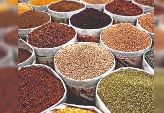 Wholesale Pulses