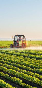 Agriculture Products