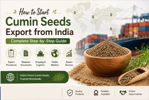 Export Business