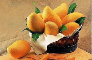 Kesar mangoes with orange pulp