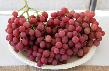 Gulabi Muscat grapes
