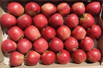 Royal Delicious apples