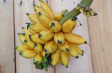 Small Lady Finger bananas