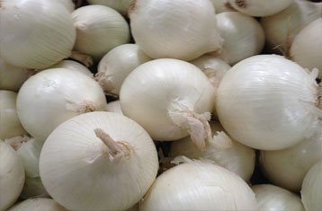 White onions