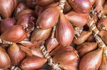 Small red onions and shallots