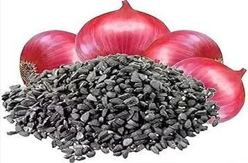 Onion seeds for planting