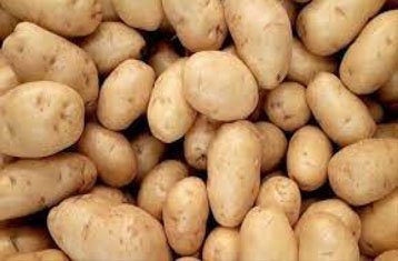 Kufri Jyoti potatoes