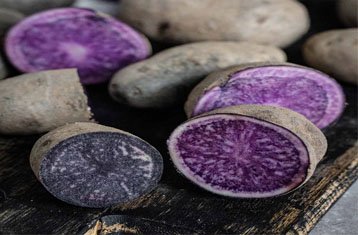 Purple potatoes