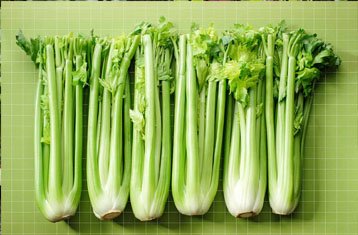 Green celery stalks