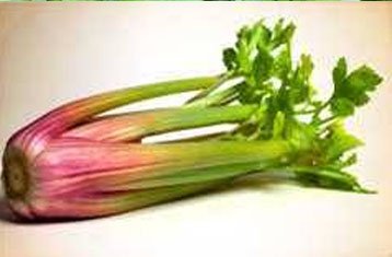 Celery stalks