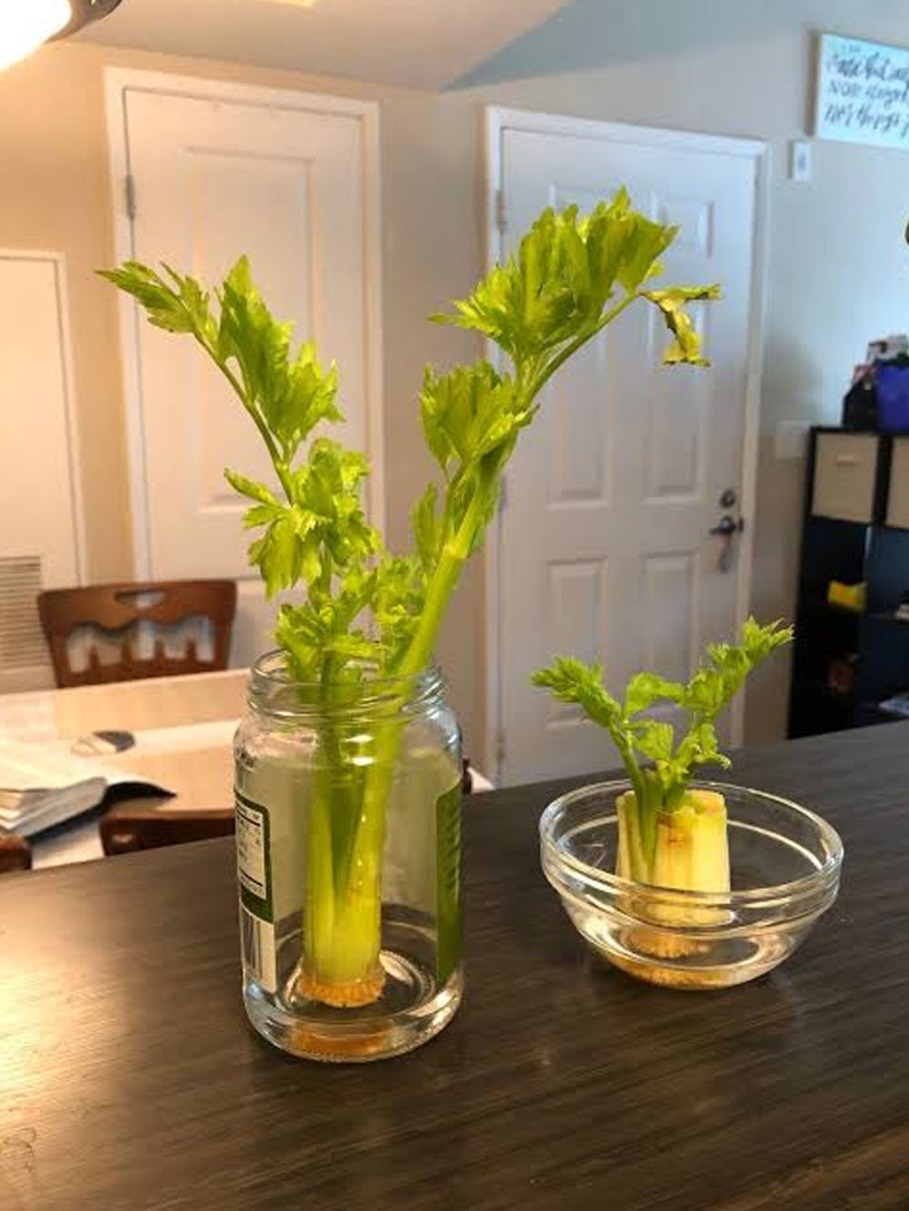 Fresh green celery stalks