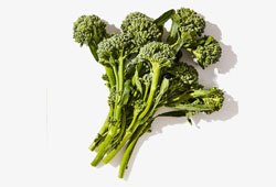 Broccolini vegetable