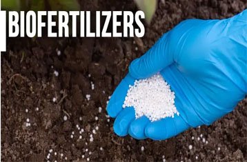 Biofertilizers