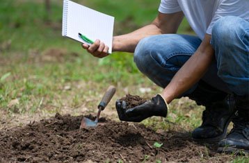 Soil pH amendments