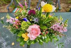 Fresh cut flowers