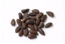 Cotton Seeds