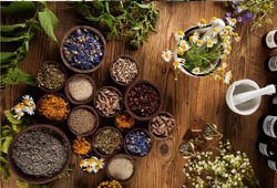 Medicinal Plants