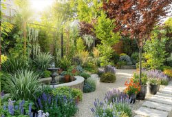 Nursery Plants
