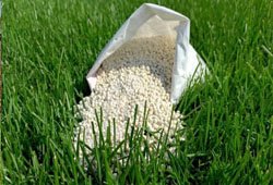 Nitrogen Fertilizers