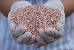 Potash Fertilizers