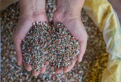 NPK Fertilizers