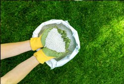 Granular Fertilizers