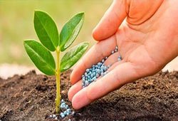 Soil Conditioners