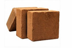 Coir Pith Blocks