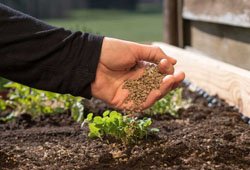 Biofertilizers